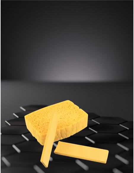 6620  Eponge raclette